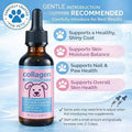 Liquid Collagen for Dogs & Cats – Grass-Fed Collagen Peptides with Biotin, Vitamin C & Hyaluronic Acid, Supports Skin & Coat Health